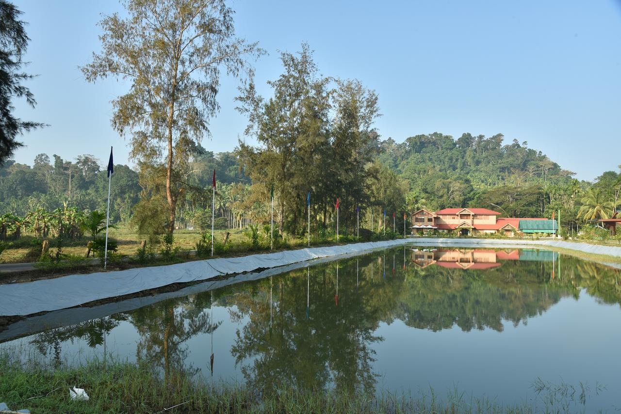 Lush Green Retreat Wandoor Exterior foto